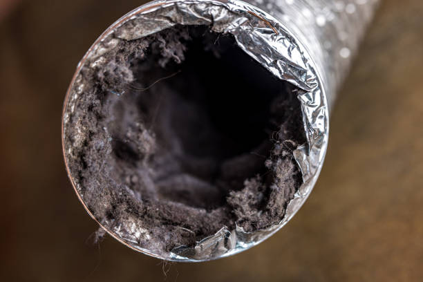 Best Home Air Vent Cleaning  in Virginia, IL